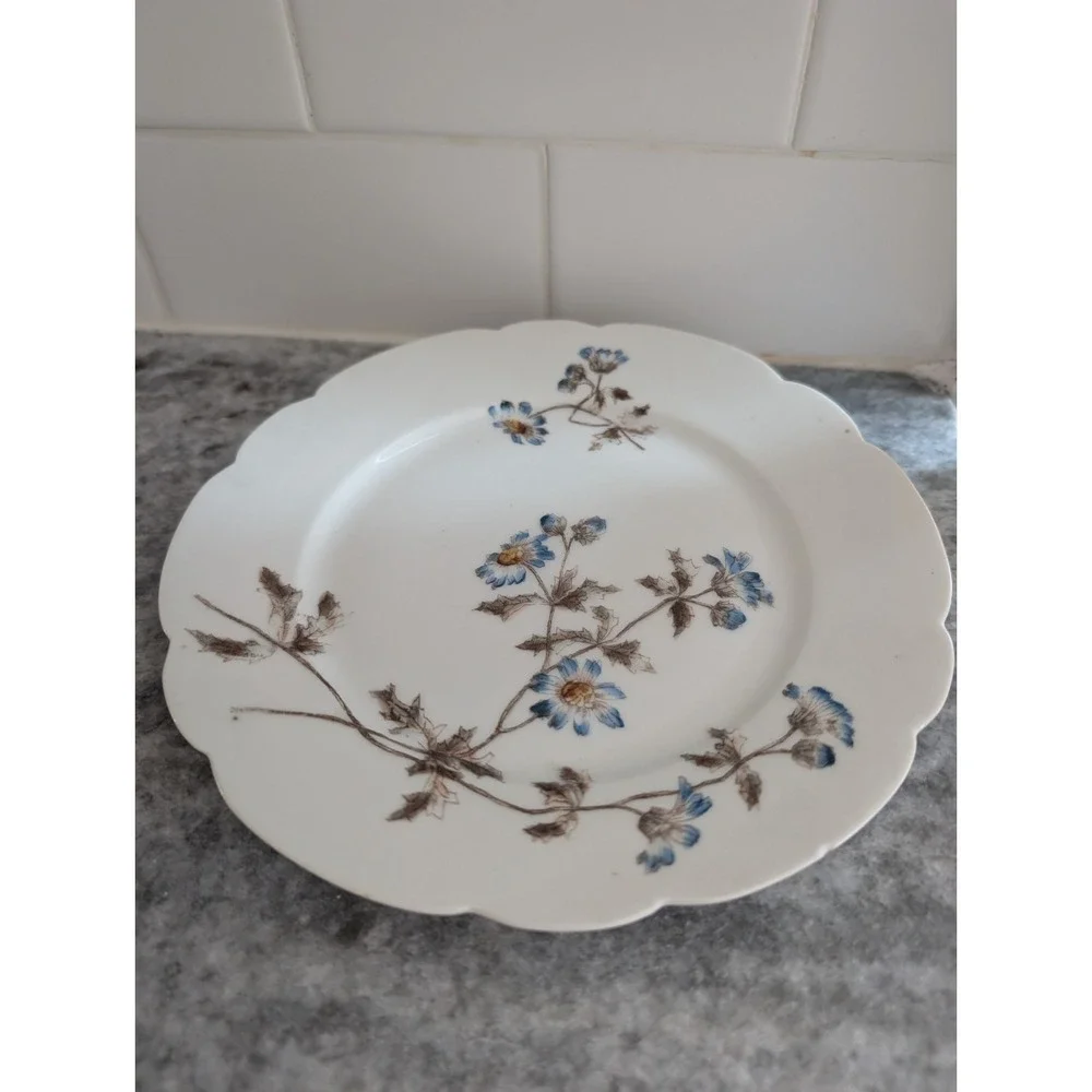 Charles‎ Fields Haviland Limoges Salad Blue Flower Plate